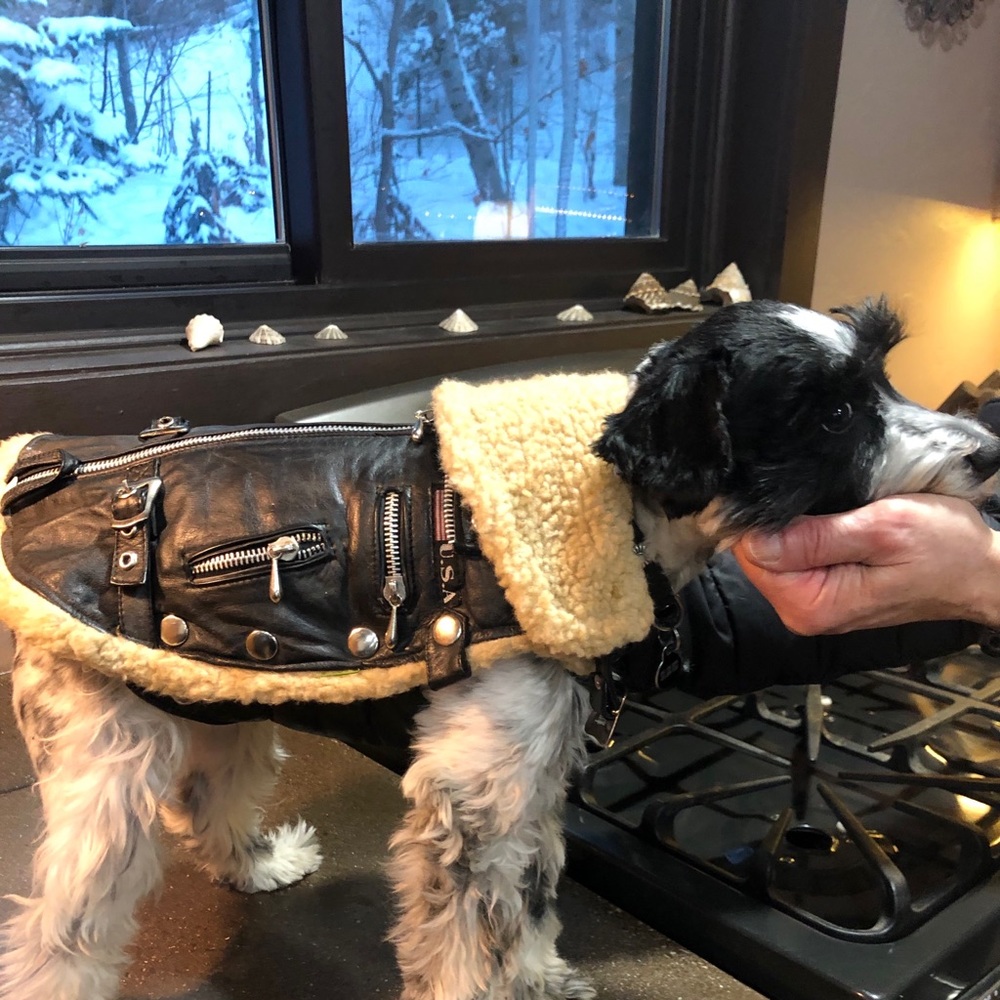 Dog biker jacket genuine leather